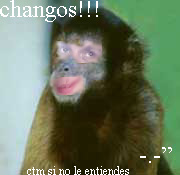changos_xD.jpg